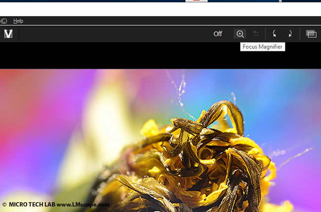 Lupenfunktion Vergrößerung Mikroskopfoto