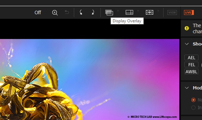 Bildüberlagerung Live View Software Mikrofotografie