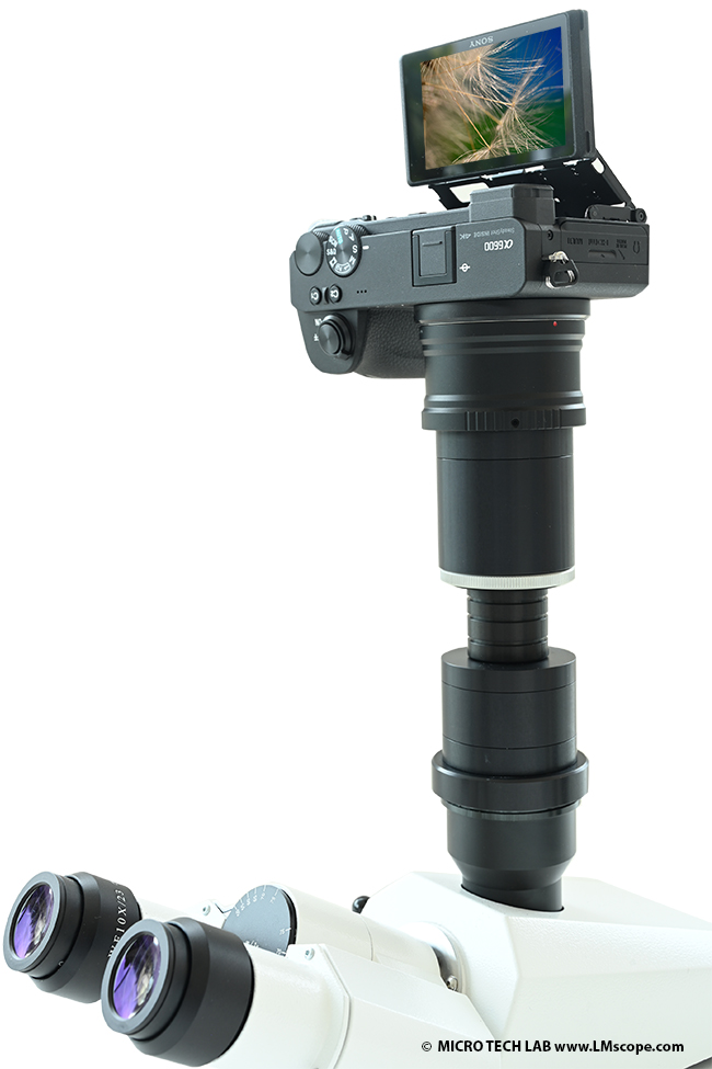 Adaptador de campo amplio LM, factor óptico 1,9x, en el tubo fotográfico del microscopio, conexión C-Mount