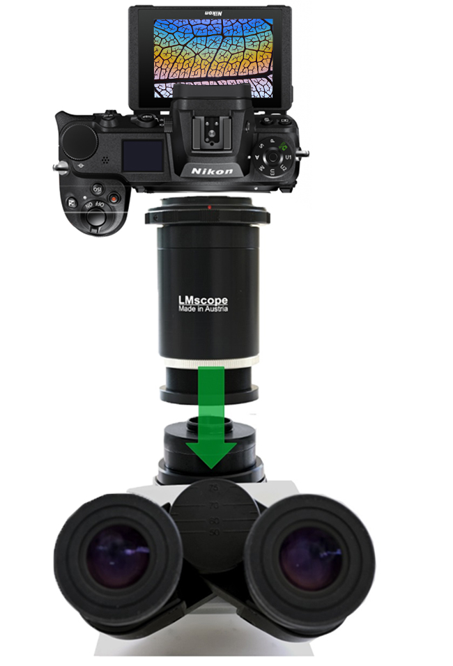 Top Bildqualit�t:Montage Nikon Z7II als Mikroskopkamera am Mikroskop, LM Mikroskop Adapter, Kameraanschluss, Verbindungsoptik, Fotoaufsatz
