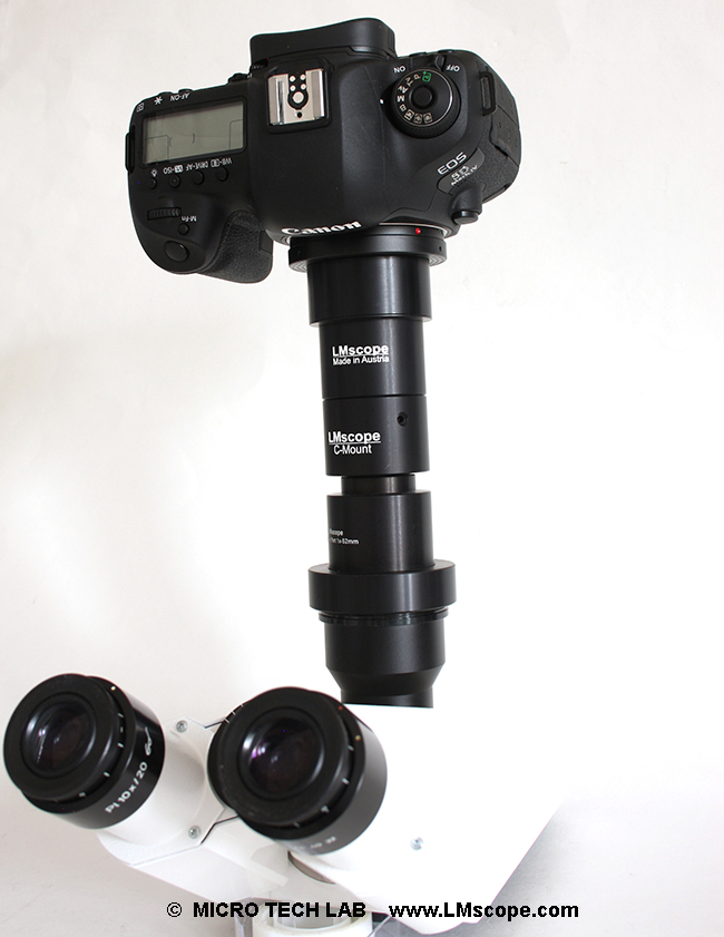 Adapterl�sung f�r Fototubus mit DSLR DSLM Cmount Kamera