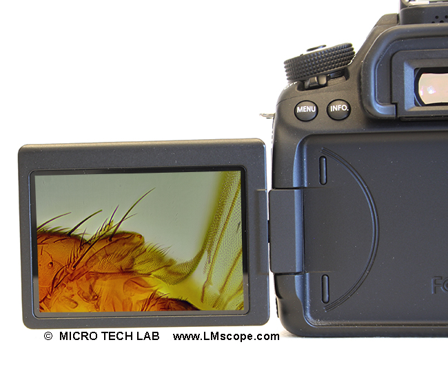 Klappdisplay Canon EOS 80D DSLR f�r Mikroskopie ausr�sten