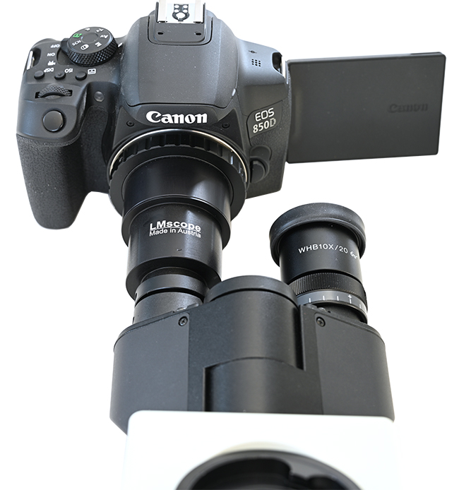 Okulartubus-Montage einer DSLR