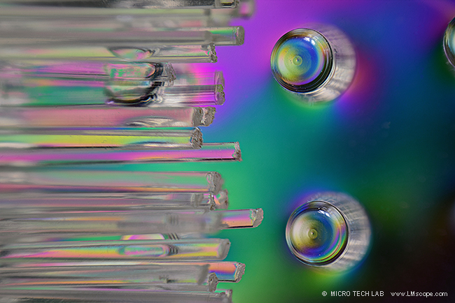 Demfoto Top Qualit�t mit Canon EOS R5 mit Adapter