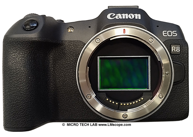 Canon EOS R8 microscope camera system camera full-frame