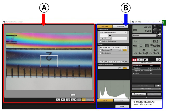 Canon EOS Utility Software Aufteilung Bedienfeld USB Verbindung Remote