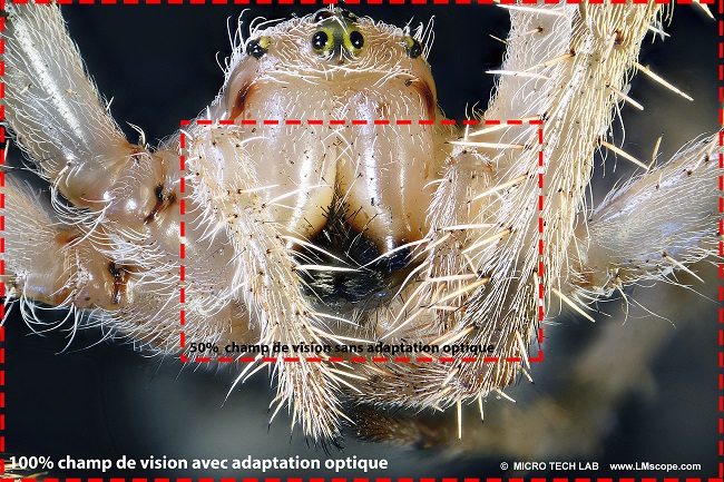 Comparaison du champ d image fov adaptateur de cam�ras � monture C optique de r�glage int�gr�e