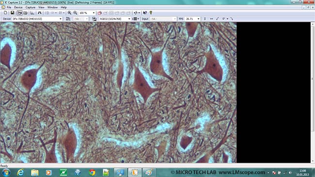 Hohe Bildqualit�t Imagingsource DFK 72BUC02 Adapterl�sung