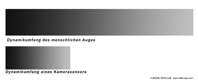 Dynamic range human eye