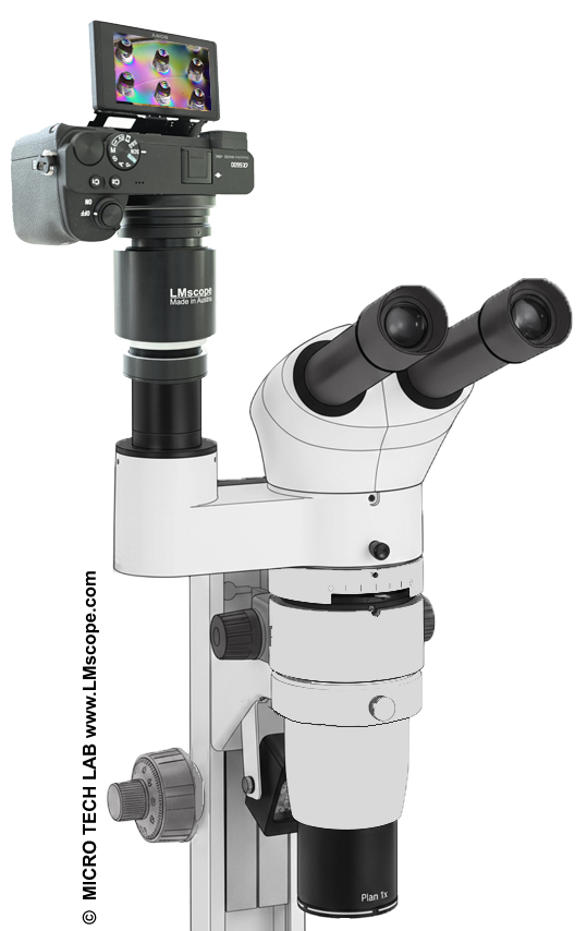 Mikroskop Kamera Adapter: Euromex DZ 1600 CMO Stereomikroskop mit modernen Digitalkameras ausr�sten