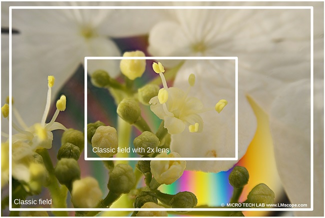 M�dulo de ampliaci�n 2x: comparaci�n del tamano del campo de imagen con el m�dulo de ampliaci�n LM 2x