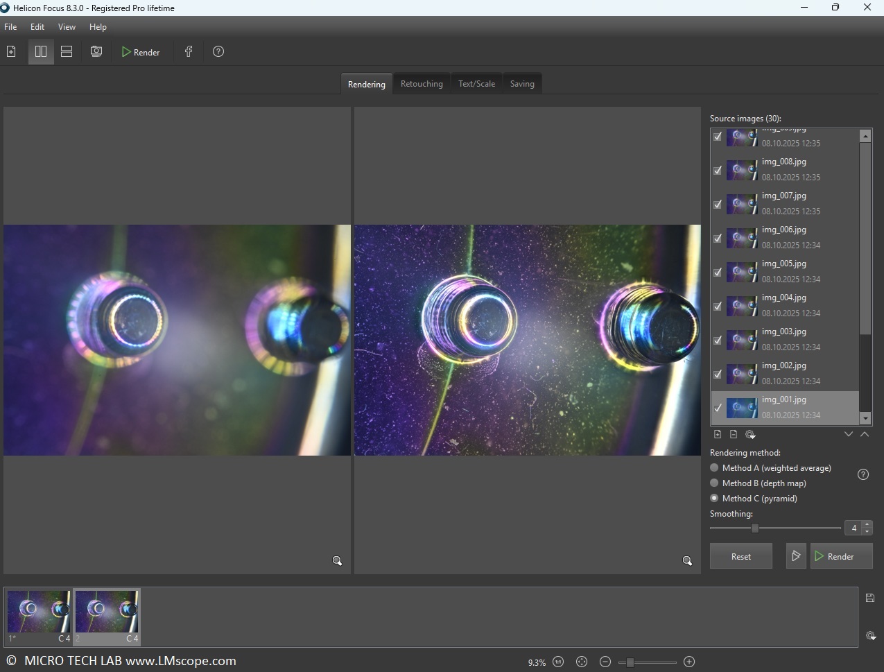 Helicon Focus in der Mikroskopie , nach Rendern, fertiges Ergebnis, hohe Tiefensch�rfe
