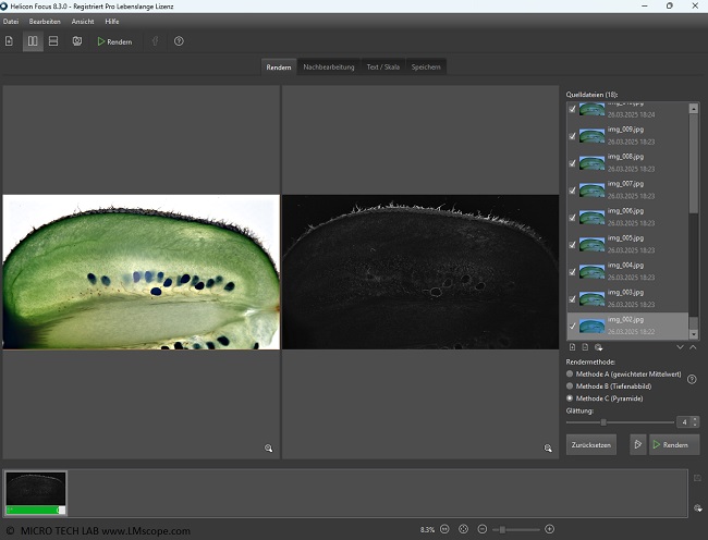 Focusstacking Software f�r mehr Tiefensch�rfe in der Mikroskopie, Digitalmikroskop,Helicon Software Marko extrem, Anwendung  Kiwischeibe 