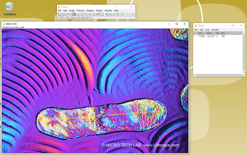 L�ngenvermessung von Zellen Software