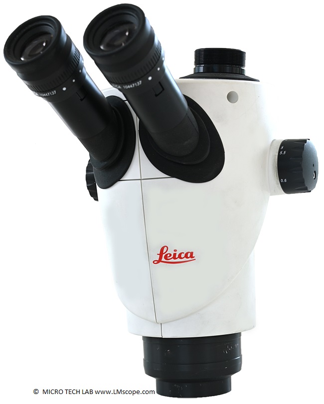 Microscopio estereoscópico trinocular Leica S9 D con cámara digital