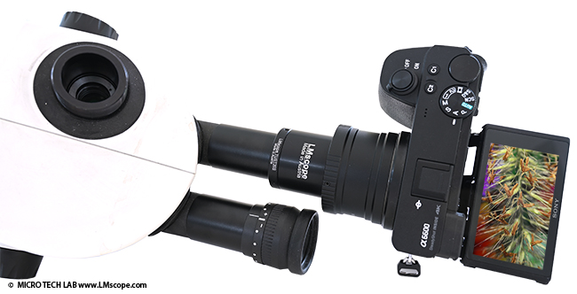 Solución adaptadora, adaptador de ocular, microscopio estéreo serie Leica S, cámara ocular