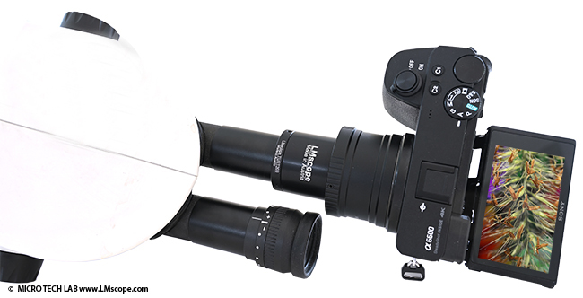 LM Adapterl�sung f�r Okulartubus Stereomikroskop