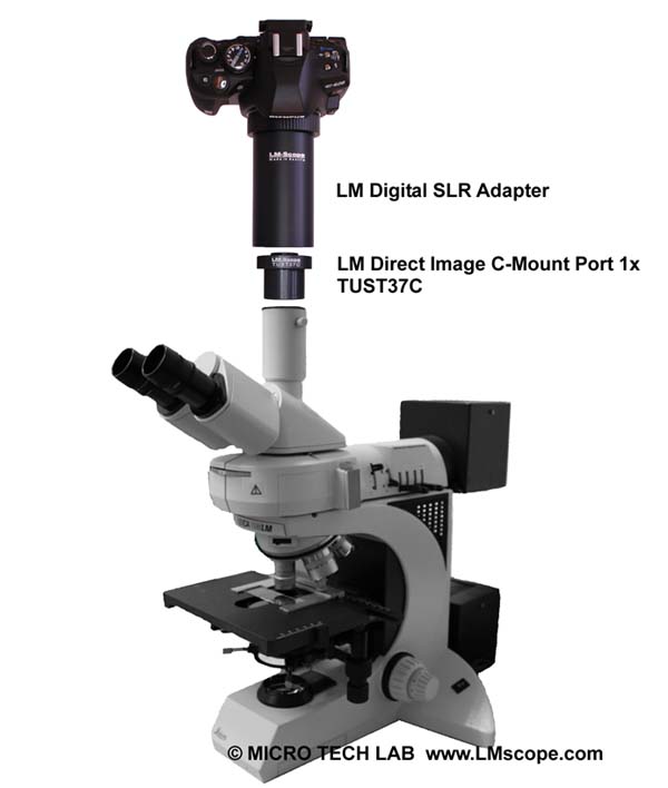microscope Leica � phototube  trinoculaire, port monture C et adaptateur LM