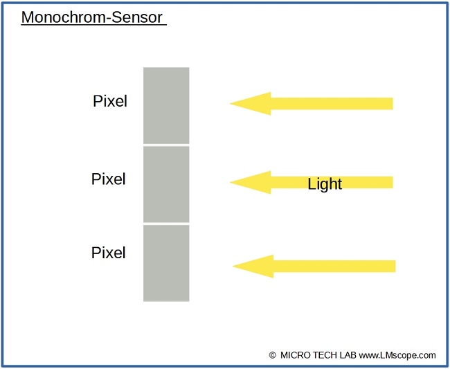 Monochrom Sensor Pixel Lichtdurchl�ssigkeit