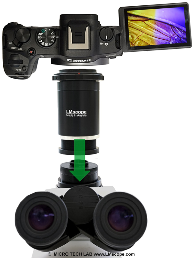 Live-view microscope image with Helicon Remote Software, microscope adapter