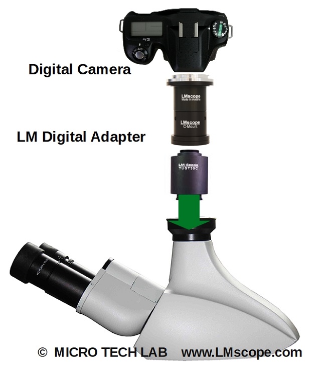 Leica DM 750 für DSLR