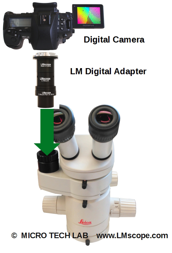 Strahlenteiler Adapterl�sung Leica Stereomikroskop