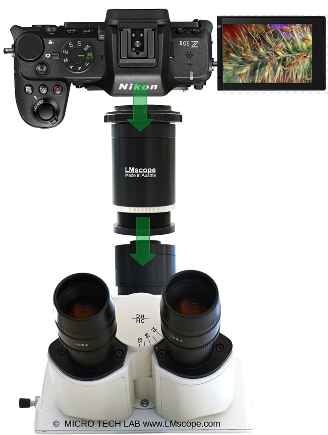 Top Bildqualit�t Nikon Z50II am Mikroskop, LM Mikroskop Adapter mit C-Mount Anschluss, fokussierbar