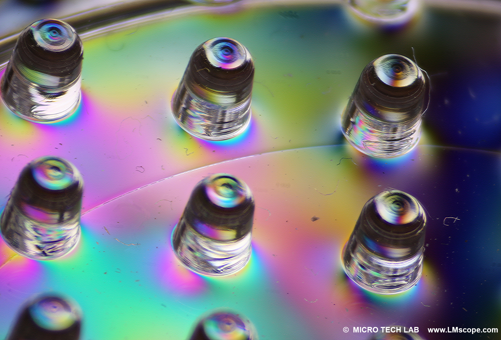 Nikon SMZ 800 SMZ800 Polarisations Mikroskopie Adapterlösung Polfilter