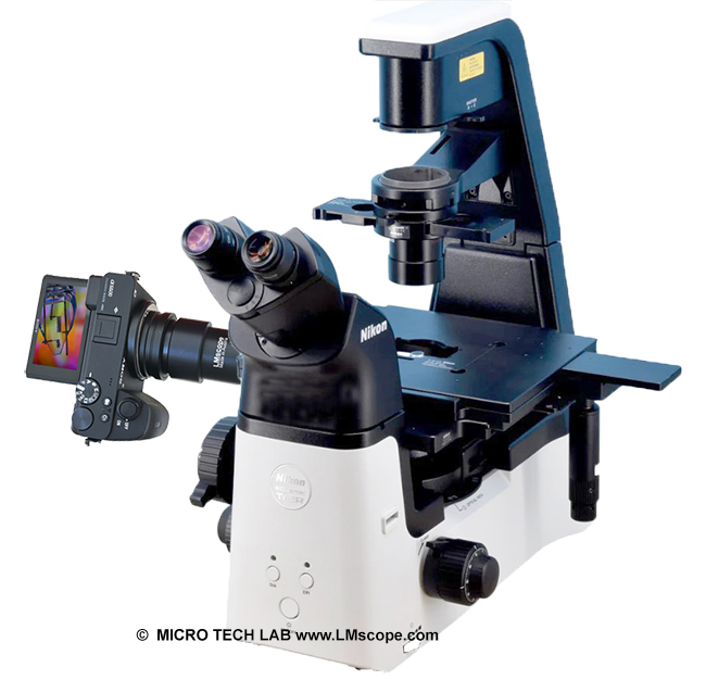 Nikon Eclipse inverted microscope camera mount on the side camera port and on the eyepiece