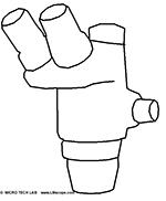 Stereomikroskop f�r Fotografie ausstatten