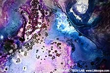 D�nnschicht: Gelatine geschmolzen