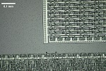 MUPID-Chip: Chip aus den 1980er Jahren in 200x Vergr��erung