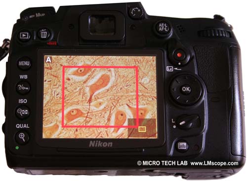 Nikon D7000 fonci�n de lupa 