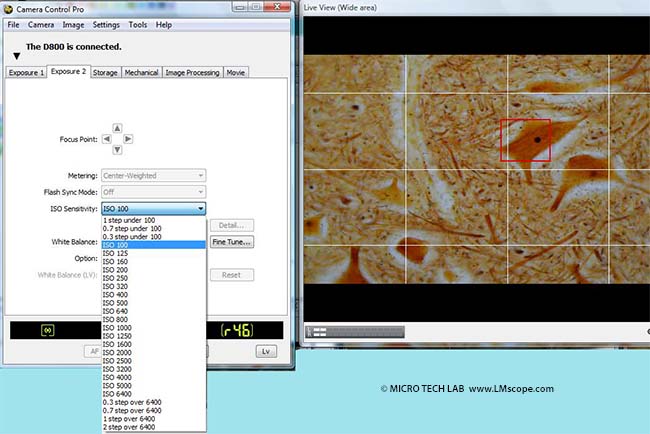 Nikon D800 Screenshot configuración ISO