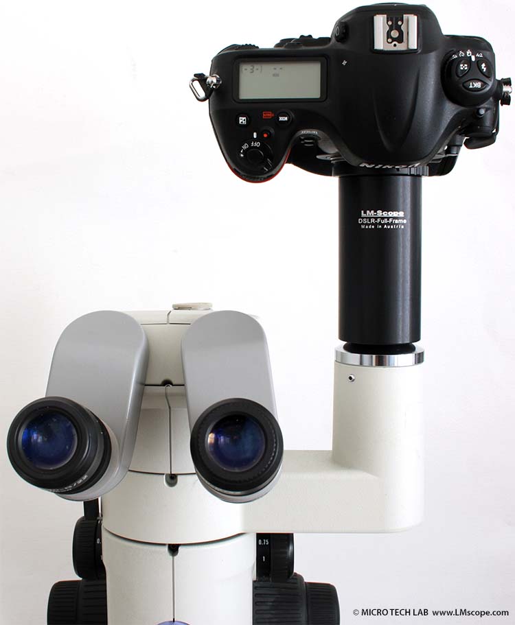 Nikon D4 am Nikon SMZ1500 Fototubus