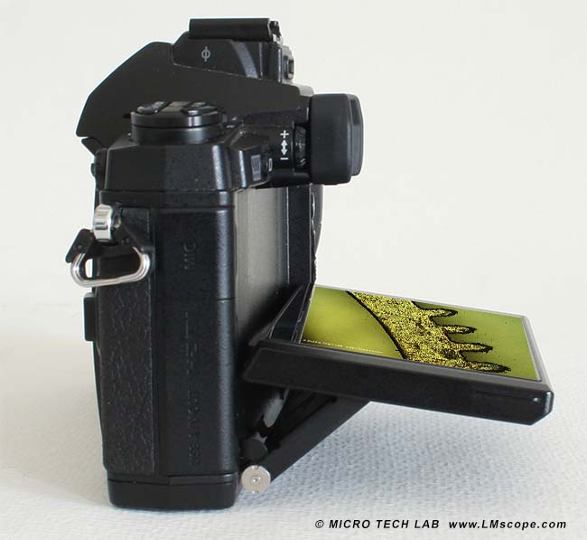 Olympus OM-D E-M1 Display