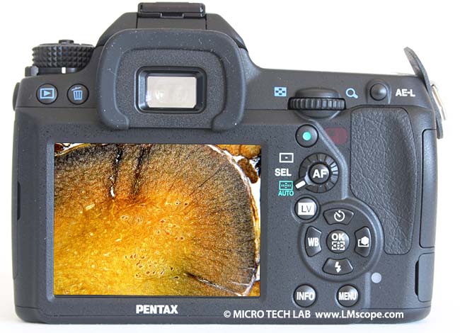 Pentax K-5 IIs R�ckansicht Spinalabbildung Mikroskopie