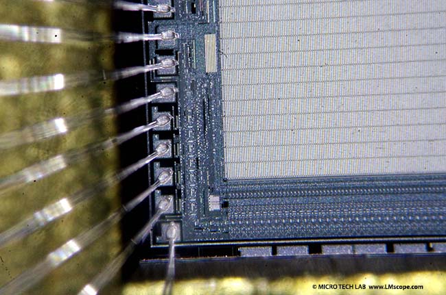 Pentax DSLR f�r Mikroskopie geeignet