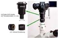 All in one: LM Digital SLR Universal Adapter f�r Fototubus und Okulartubus (C-Mount, 23.2mm, 30mm 37mm, 38mm, 42mm)