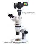 Conexi�n de una c�mara r�flex digital moderna a un microscopio estereosc�pico