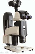 Rapport d'essai d�taill� : le st�r�omicroscope Nikon SMZ25 adapt� � la photographie num�rique