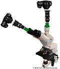 LM Digital Adapter am Zeiss Axiostar plus  einfache Handhabung f�r sch�ne Bilder!