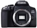 Canon EOS 850D: kosteng�nstige Mikroskopkamera im Praxistest