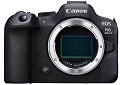 Canon EOS R6 Mark II am Mikroskop: neuer schneller Vollformat-Sensor mit vielen Vorteilen f�r die Mikroskopie