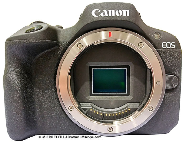 Prueba de Canon EOS R100 con soluci�n adaptadora LM en el microscopio: c�mara de sistema sin espejo econ�mica con 24MP