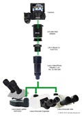 Add modern digital cameras to the Leica stereo microscope with phototube and attached Leica adapter 1x (Leica video/photo objective 1.0 / no. 10 445 930)