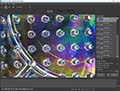 Focus Stacking mit der Helicon Focus Software in der Makro- und Mikrofotografie