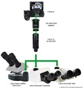 Add modern digital cameras to the Leica stereo microscope with phototube and attached Leica Video adapter 1.0x C-mount for digital cameras / no. 10 450 829