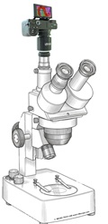 Euromex Z-Serie Stereomikroskope: Moderne Digitalkameras mit LM Mikroskopadaptern erfolgreich einsetzen