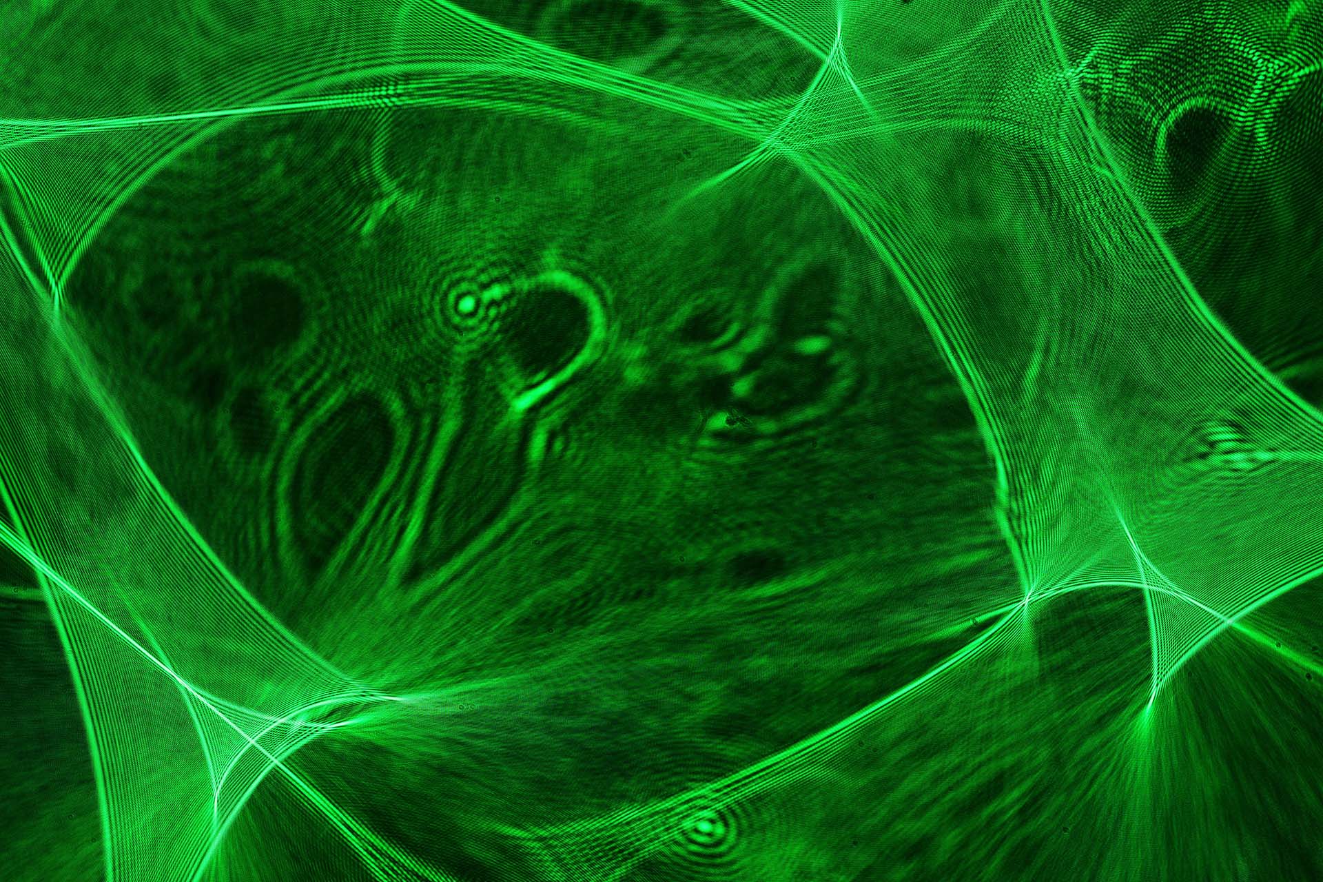 Spezial Eindeckmittel (Einschlussmittel) f�r die Mikroskopie